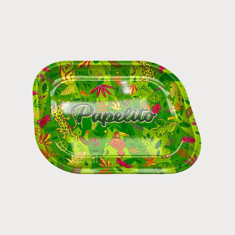 prato-papelito-pequeno-fauna-e-flora-verde-02