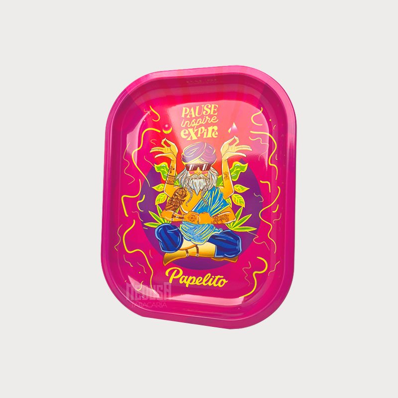 prato-papelito-pequeno-guru-01