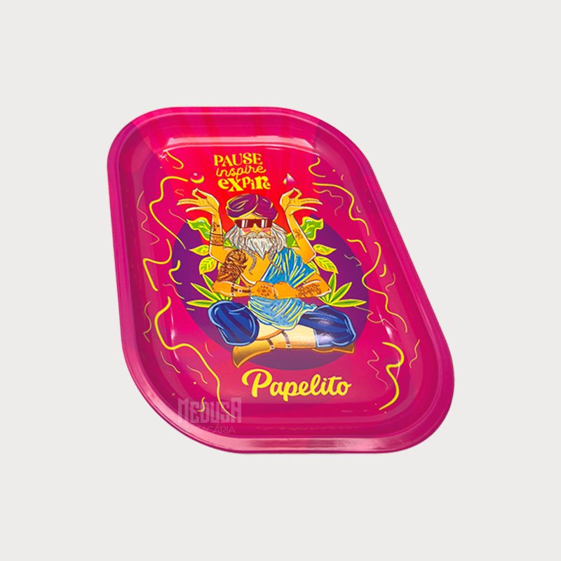 prato-papelito-pequeno-guru-02